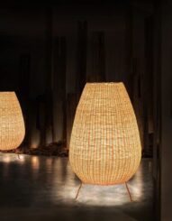cane-lights
